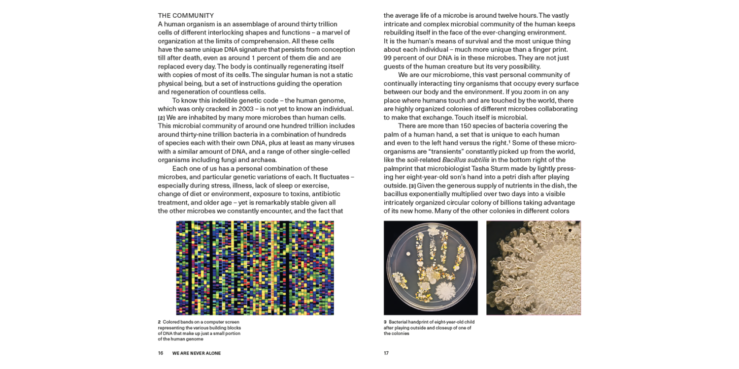 We the Bacteria_Spread_3