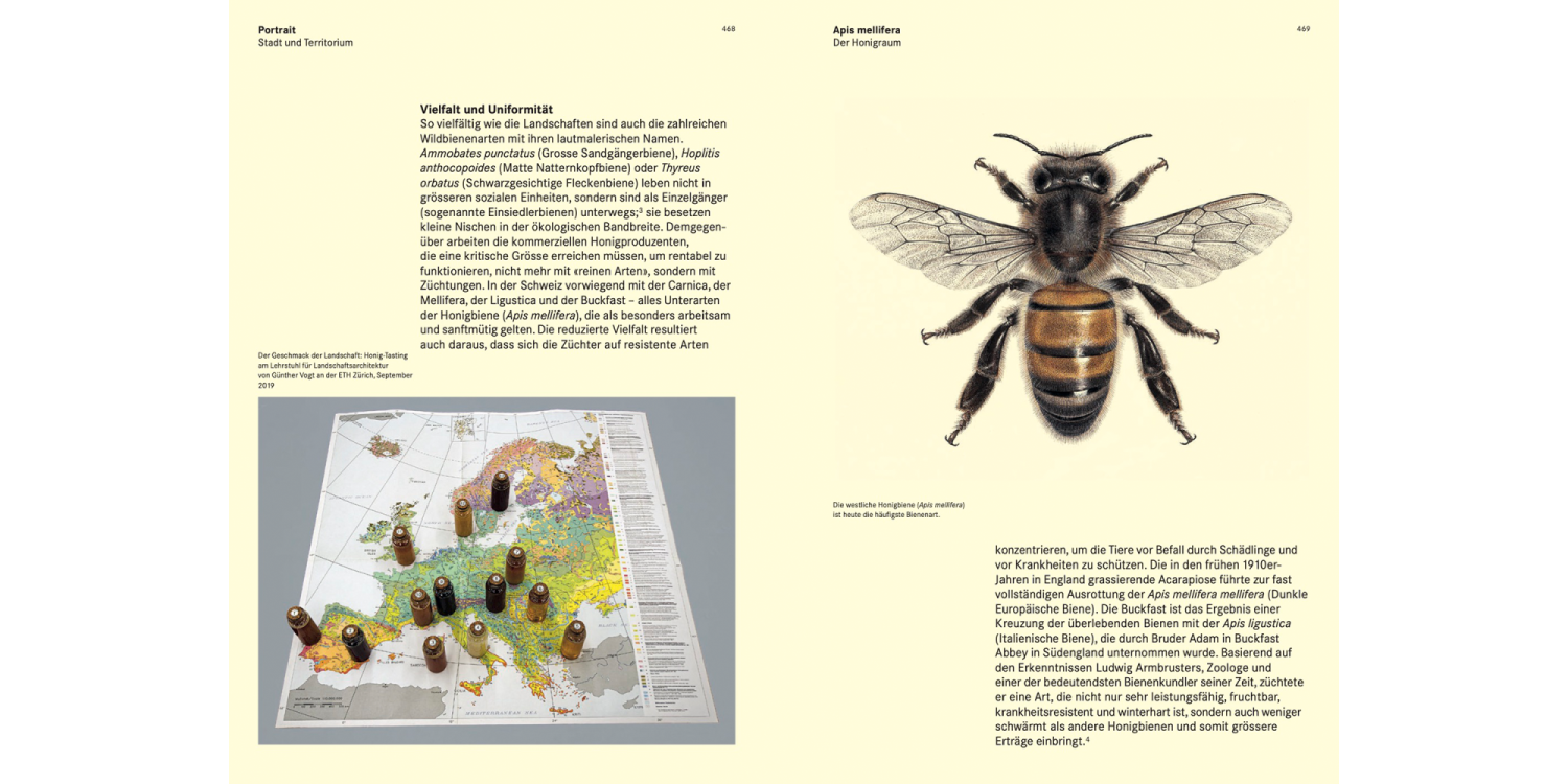 Mutation-and-Morphosis_DE_10