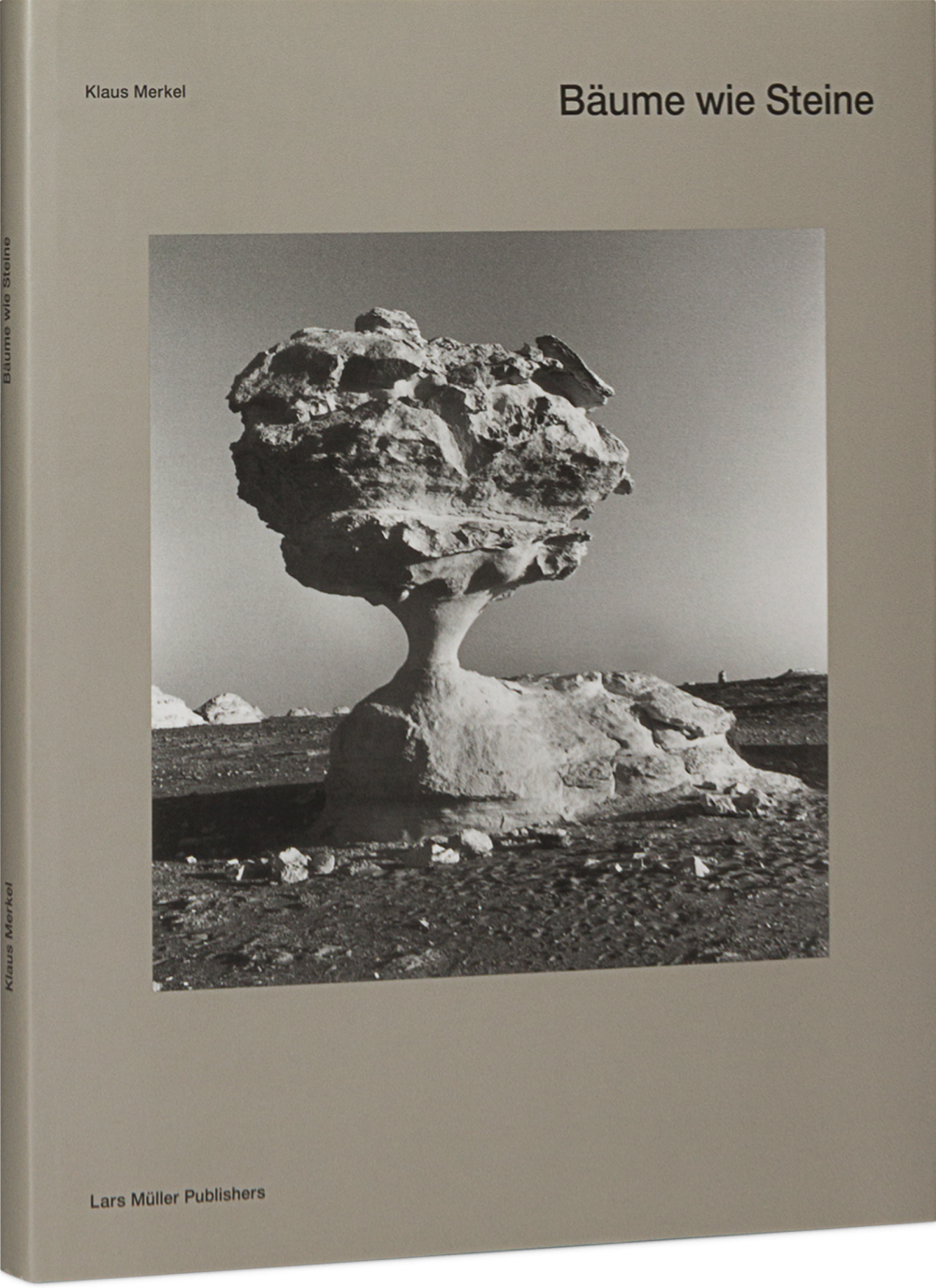 Bäume wie Steine Cover