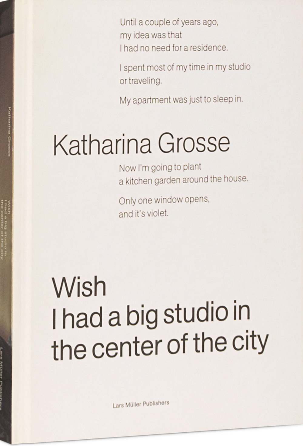 Katharina Grosse Wish I Had a Big Studio in the Center of the City Cover