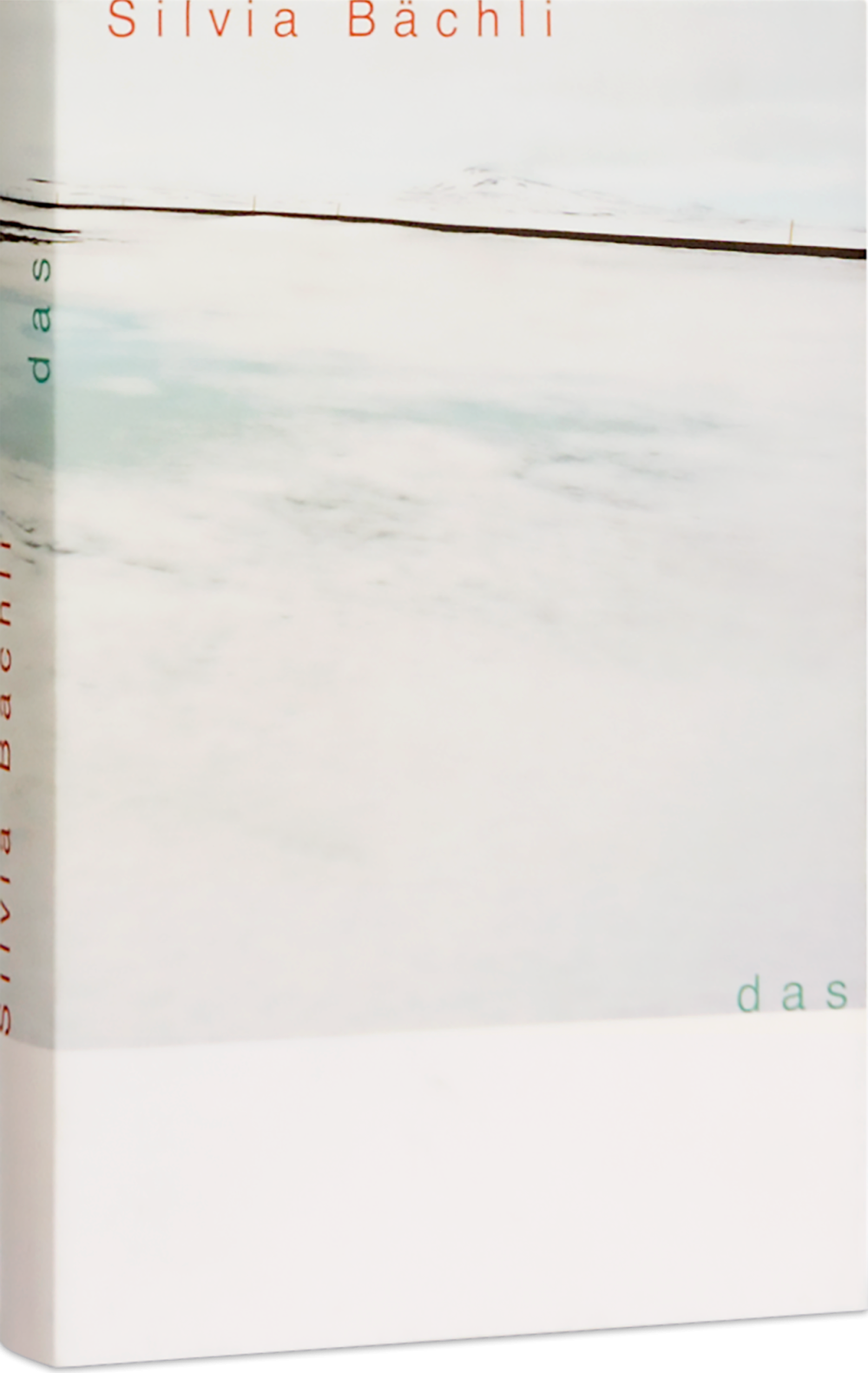 Silvia Bächli Das Cover